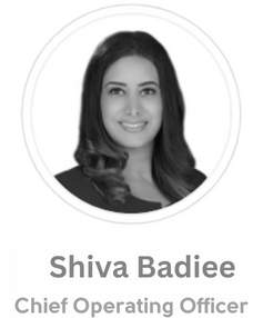 Shiva Badiee, WiiBid Co-Founder, Alternative Financing & Private Funding Expert